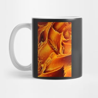 Peanut Butter Macro Mug